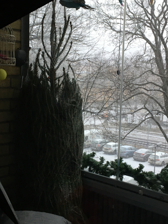 Nätad gran på balkongen i dagsljus