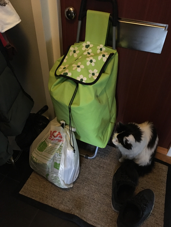 Sopor Dramaten med pant i o Lucifer