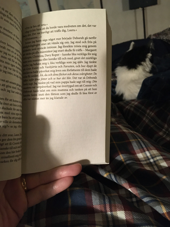 Läsning och katt på sängen