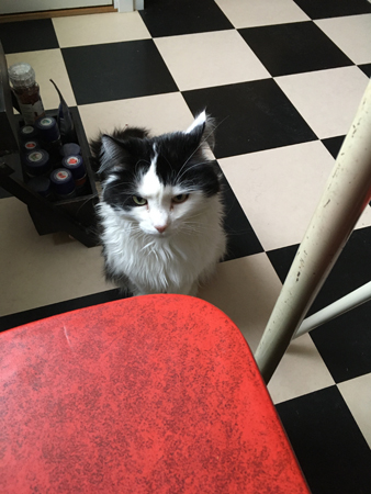 Lucifer vid min kökssoffa