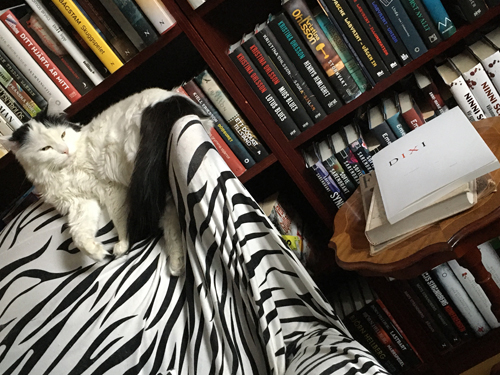 Övervakaren Citrus och boken med rektorstal Dixi