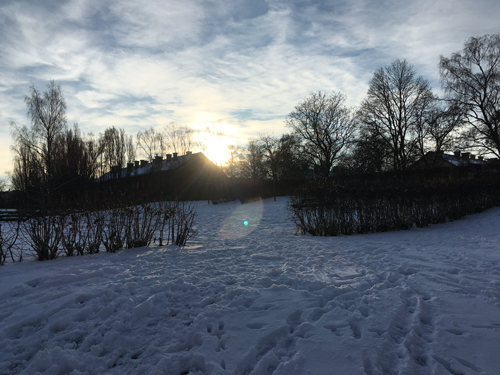 Soligt och mycket snö i Höganäsparken 11 jan 2021