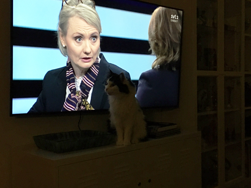 Lucifer och Karin Tegmark Wisell på TVn