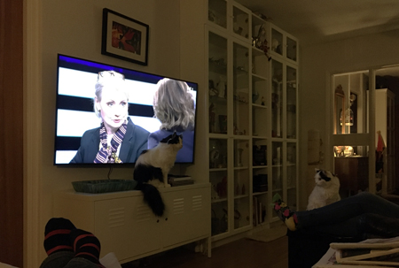 Lucifer och Citrus och Karin TW på TV