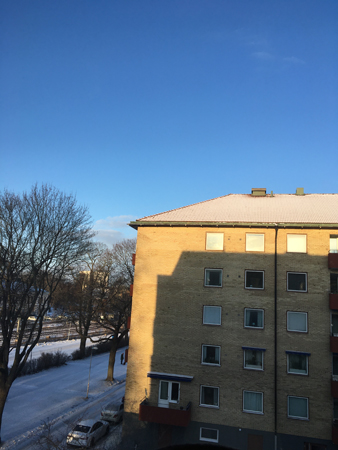 Solig februaridag utanför bokrumsfönstret