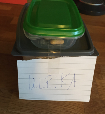 Matlådor till mig från Anna