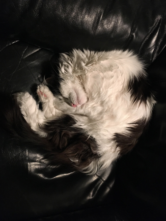 Lucifer kurar ihop sig