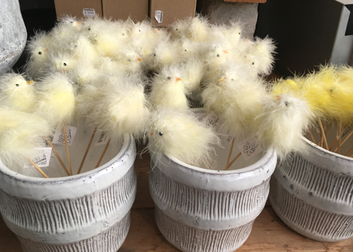 Fluffiga kycklingar Fullerö