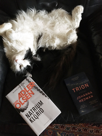 Lucifer med böckerna Natriumklorid och Trion