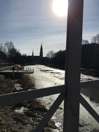 Marssol vid Fyrisån Marssol vid Fyrisån