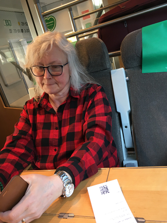 Anna på tåget till Stockholm