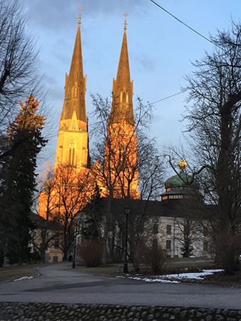 Domkyrkotornen i kvällssol