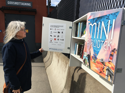 Anna tittar in i Minibiblioteket