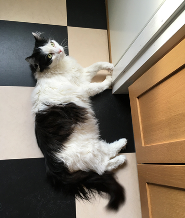 Lucifer utanför skafferiet