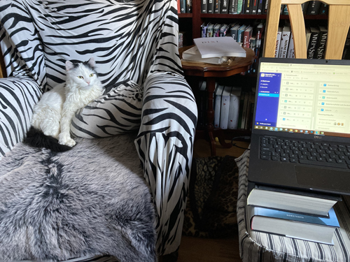 Citrus övervakar Ulrikas arbete Citrus övervakar Ulrikas arbete