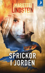 Mariette Lindsteins bok Sprickor i jorden