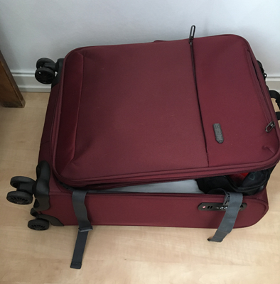 Vinröd kabinväska
