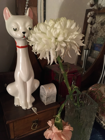 De sista halvvissna födelsedagsblommorna