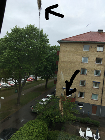 Fågelskit på fönstret till Matsalen