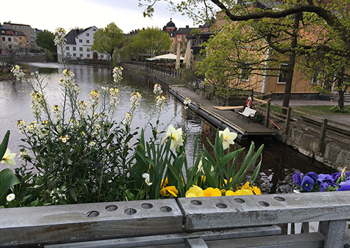 Blomlådor St Olofbron 10 maj 22