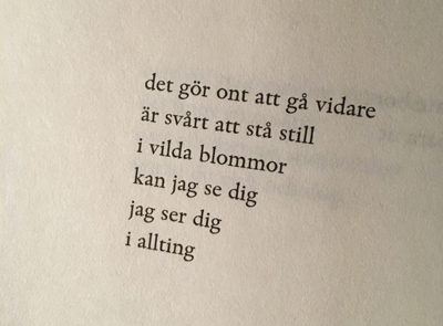 Citat ur boken Vi behöver prata om att du dog