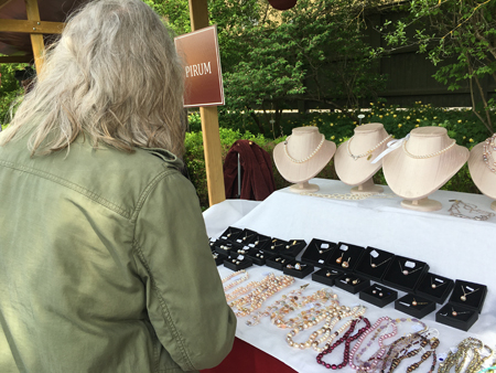 Anna i Linnéträdgården