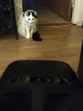 Citrus betraktar Flowfeet skeptiskt