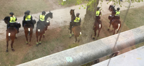 Beridna poliser i allén