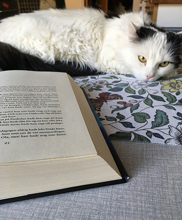 Citrus och min bok på köksbordet