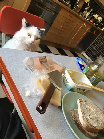 Citrus vid frukostbordet