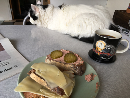 Citrus på köksbordet och kaffe och mackor