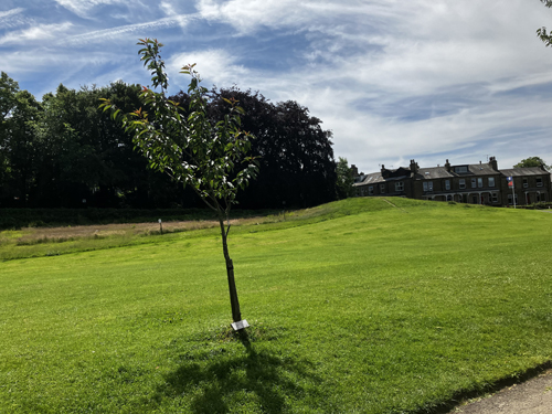 Parkpromenad i Ilkley