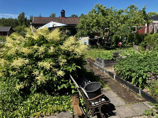 Slottsträdgården med potatislandet till höger