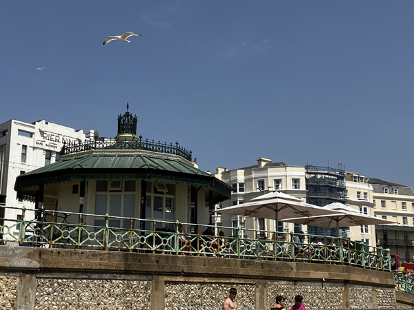 Husen på Kingsway Brighton och en fiskmås