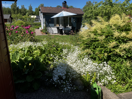 Slottet baksidan sett från boden