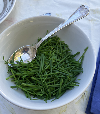 Gräslök nyklippt från landet