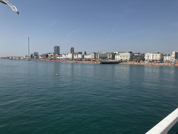 Turkost hav och en måsvinge