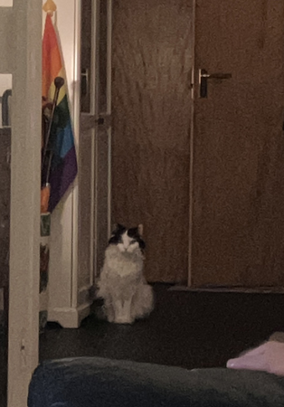 Lucifer sitter i hallen