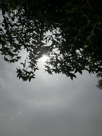 Solen försökte tränga igenom det gråa