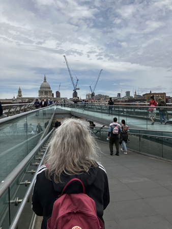 Anna fotar St Pauls på avstånd