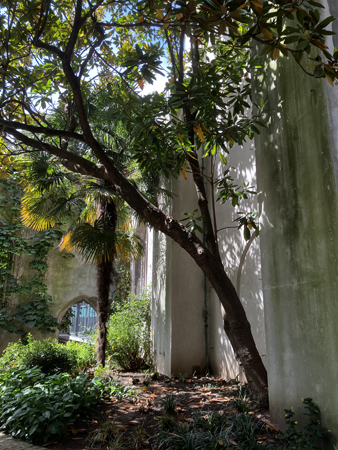 Inne i kyrkoruinen St Dunstan