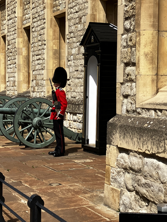 Vakt på Towern i björnskinnsmössa