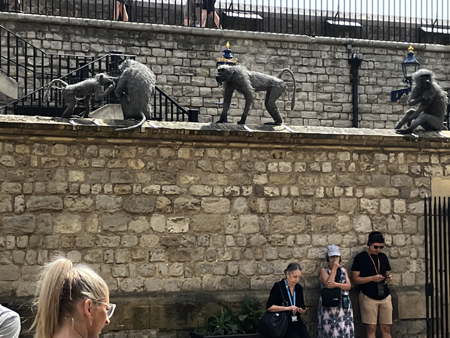 Folk och apor på Towern