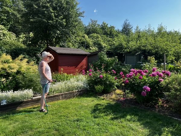 Anna vattnar i Slottsträdgården