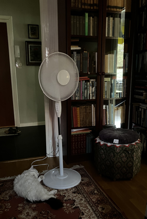 Citrus vid golvfläkten i Bokrummet