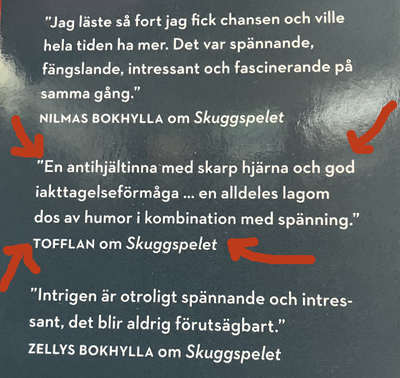 Blurb om Anna Bågstams bok Skuggspelet