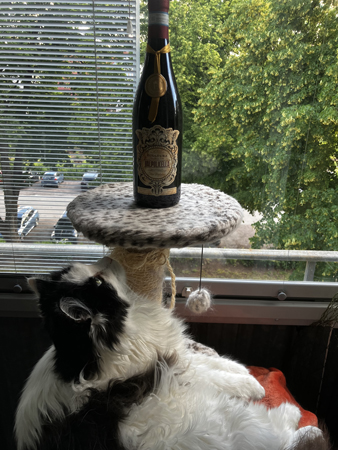 Lucifer och en flaska Ecoltura Valpolicella 2019