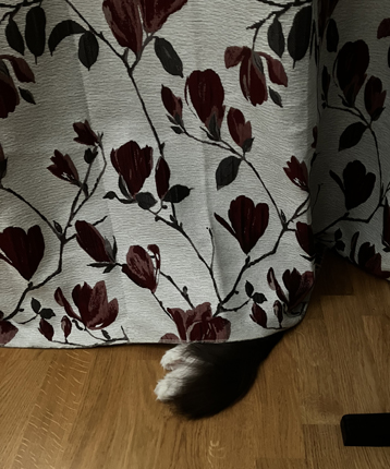 Lucifers baktassar och svans sticker ut under gardinen