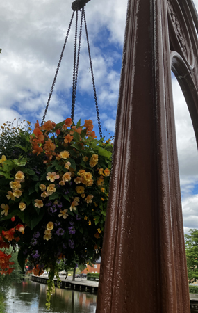 Blommor på Haglunds bro