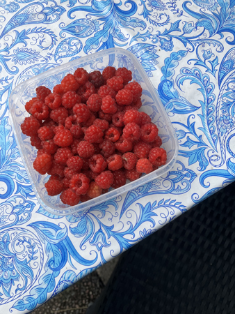 En burk hallon 16 juli